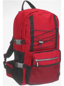 PLECAK DERBY OF SWEDEN - Silver Backpack
