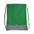 SPORT GYM 1582006 green.jpg