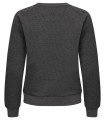 3358423-955 Pemberton Crewneck Ladies Back.jpg