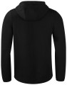 358418-99 Pemberton Hood Full Zip Men Back.jpg