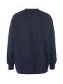 1916297-396000 Frequent RN Sweatshirt Woman Back.jpg