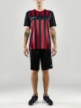 1910175-999430 Craft Progress 2.0 Stripe Jersey Men Closeup6.jpg